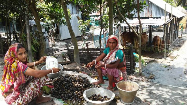 21082226_10208146024448506_456800466_o