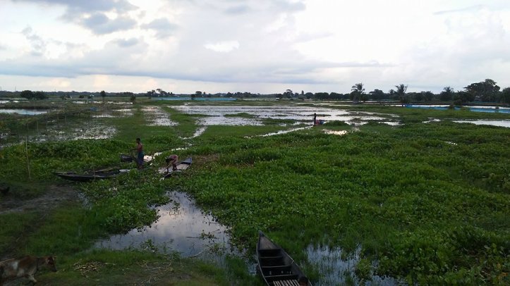 21101041_10208147012873216_1338626874_n