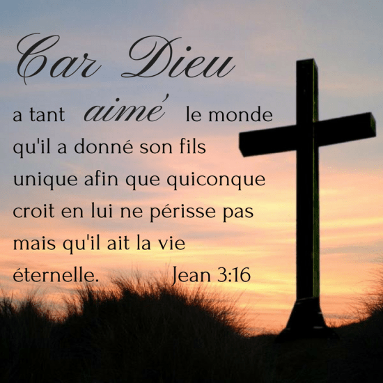 e2b71a5930ed3cfdbb4b4c444bc64034